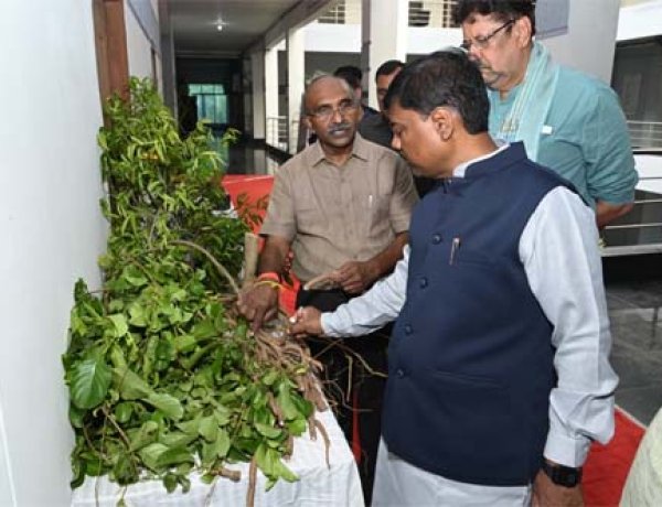 औषधि पौधों की खेती किसानों की आय बढ़ाने का प्रभावी माध्यम: वन मंत्री केदार कश्यप