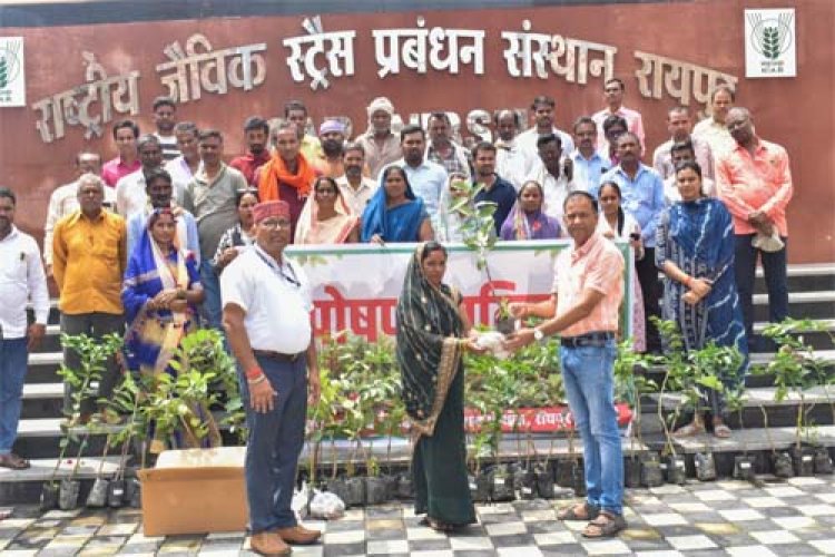 आईसीएआर-एनआईबीएसएम द्वारा 'पोषण वाटिका' पर प्रशिक्षण कार्यक्रम आयोजित 