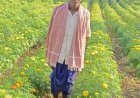 धान से गेंदा की खेती की ओर बढ़े आनंद राम, 0.400 हेक्टेयर में कमाया 3.96 लाख रुपए