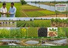 विशेष लेख : नदी किनारे की माटी में समृद्धि का नया अध्याय