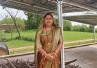 पीएम सूर्यघर मुफ्त बिजली योजना से तारणी घृतलहरे के घर रोशन हुआ सौर ऊर्जा का उजाला