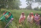 नवाचार से स्वावलंबन : परखंदा की महिलाओं ने खस की खुशबू से रची आर्थिक आजादी की नई इबारत