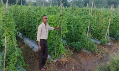 करेले की उन्नत खेती से चमकी किसान नारायण प्रसाद वर्मा की किस्मत