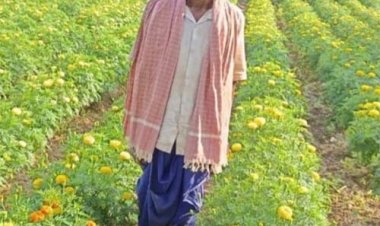 धान से गेंदा की खेती की ओर बढ़े आनंद राम, 0.400 हेक्टेयर में कमाया 3.96 लाख रुपए