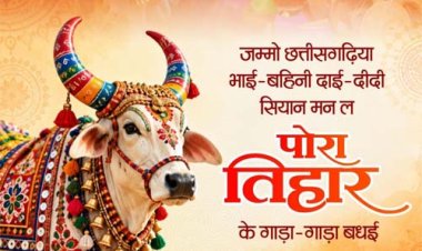 पोरा तिहार पर वित्त मंत्री ओपी चौधरी ने प्रदेशवासियों को दी शुभकामनाएं