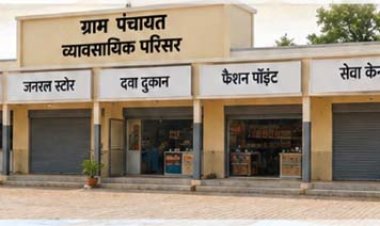 विशेष लेख : पंचायतों की आय बढ़ाने धमतरी का नवाचार मॉडल