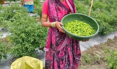 'तीखी मिर्च' से घुली जीवन में मिठास