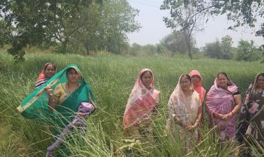 नवाचार से स्वावलंबन : परखंदा की महिलाओं ने खस की खुशबू से रची आर्थिक आजादी की नई इबारत