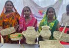 विशेष लेख : सेवा संकल्प अभियान 2026 : बिहान से बदल रही सरगुजा की महिलाओं की तस्वीर, हुनर और हौसले से आत्मनिर्भरता की ओर बढ़ते कदम
