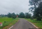 सेवा की कहानी : जनमन सड़क से बदली 185 बैगा परिवारों की राह