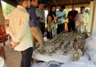 बस्तर के ढोकरा शिल्प को मिलेगी राष्ट्रीय पहचान