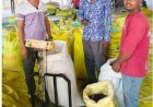 सेवा संकल्प अभियान: सेवा की कहानी : पीएम-किसान सम्मान निधि से किसान उमेन्द्र यादव को खेती-किसानी के जरूरी खर्चों को पूरा करने में मिल रही मदद