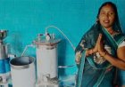 सोया पनीर निर्माण से आत्मनिर्भरता की नई इबारत लिख रहीं बद्रिका पारस चन्द्रा