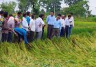 अर्नब तूफान से प्रभावित किसानों को राहत देने सक्रिय हुआ प्रशासन, फसल क्षति का सर्वे शुरू
