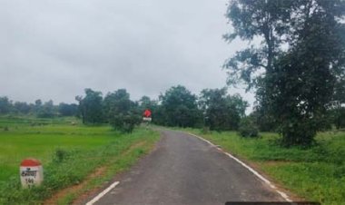 सेवा की कहानी : जनमन सड़क से बदली 185 बैगा परिवारों की राह