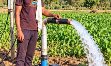 सेवा की कहानी : किसान समृद्धि योजना से मनोज के खेतों में आई हरियाली, बढ़ी खुशहाली