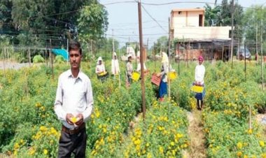 सेवा की कहानी : फ्लोरीकल्चर हब प्रोत्साहन योजना से घनश्याम साहू की खेती को मिली नई दिशा