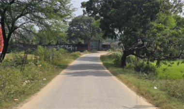 विशेष लेख : जनकल्याणकारी योजनाओं से बदल रही सरगुजा के गांवों की तस्वीर, आत्मनिर्भरता की ओर बढ़ रहे ग्रामीण परिवार