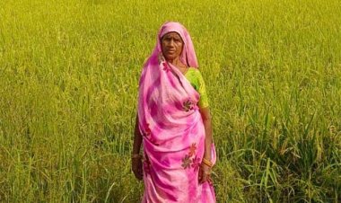 सेवा संकल्प अभियान में सामने आई किसान परवती सिंह की सफलता की कहानी, धान बोनस से मिली आर्थिक सहायता