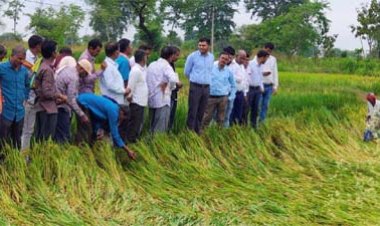 अर्नब तूफान से प्रभावित किसानों को राहत देने सक्रिय हुआ प्रशासन, फसल क्षति का सर्वे शुरू