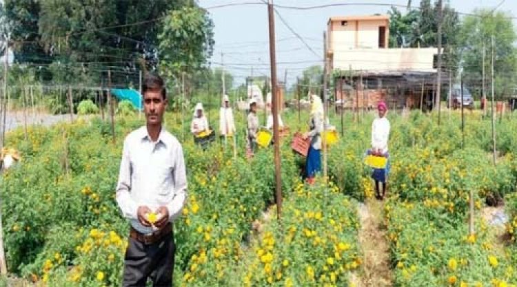 सेवा की कहानी : फ्लोरीकल्चर हब प्रोत्साहन योजना से घनश्याम साहू की खेती को मिली नई दिशा