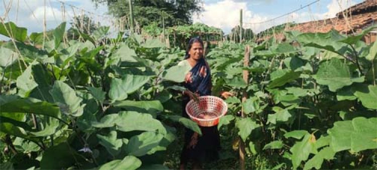 मेहनत और बिहान के सहयोग से आत्मनिर्भरता की नई कहानी लिख रहीं जयकुंवर