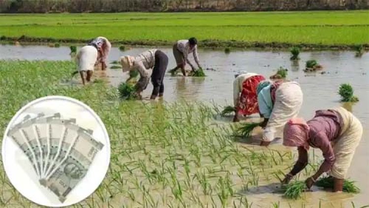 कृषक उन्नति योजना का लाभ लेने किसानों से अपील