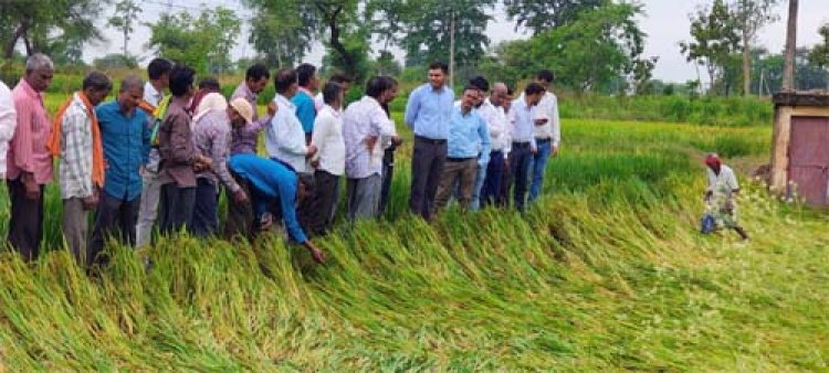 अर्नब तूफान से प्रभावित किसानों को राहत देने सक्रिय हुआ प्रशासन, फसल क्षति का सर्वे शुरू